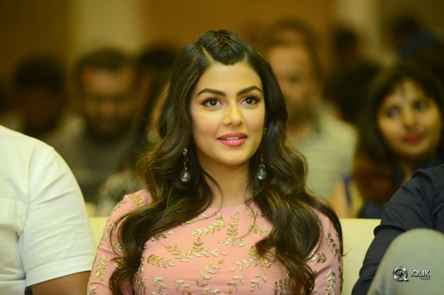 Okkadu-Migiladu-Movie-Pre-Release-Function